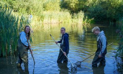 Tre elever står i søen og fisker med net.