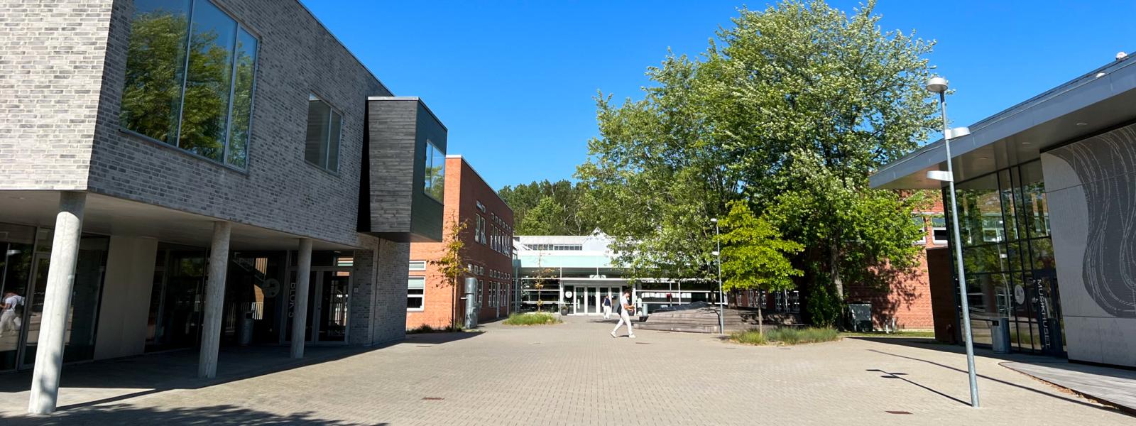Borupgaard Gymnasium set udefra ved hovedindgangen i strålende solskin